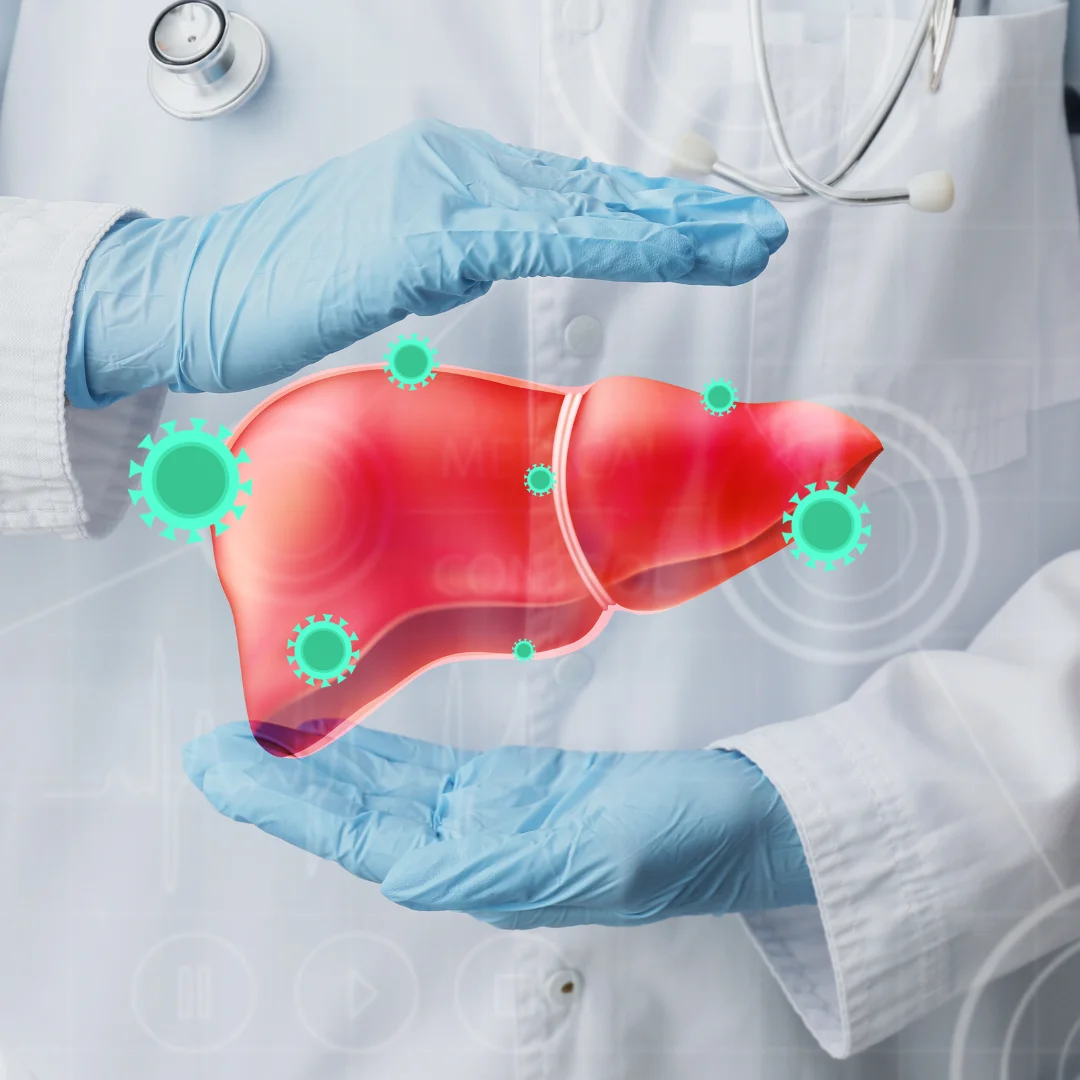 LIVER-IMG1-2.webp